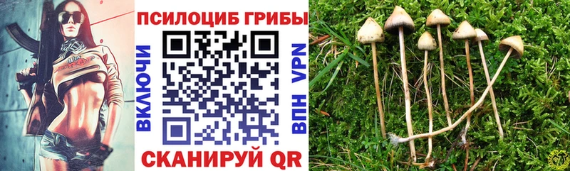 продажа наркотиков  KRAKEN ONION  Галлюциногенные грибы MAGIC MUSHROOMS  Щёлково 